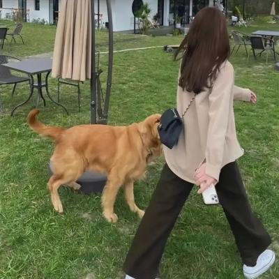 约翰·缪尔和他的山